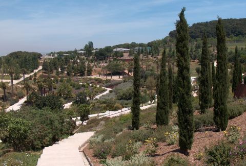 The Botanical Gardens of Barcelona. Valérie75 / Wikimedia Commons. CC BY-SA 3.0