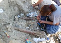 Els principals jaciments paleontològics dels Països Catalans