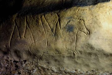 Gravat d'un cavall a la cova de la Font Major de l'Espluga de Francolí de fa 15000 anys